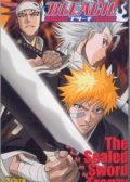 Bleach The Sealed Sword Frenzy OVA