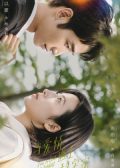 Fall in Love with a Scientist Chinese drama