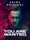You Are Wanted Season 1