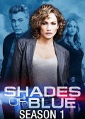 Shades of Blue Season 1