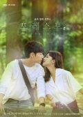 Forest Korean drama
