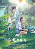 Midsummer Is Full of Love chinese drama