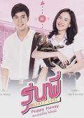 Senior Secret Love Puppy Honey thai drama