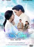 Angel Destiny thai drama