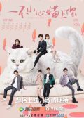 Accidentally Meow on You chinese drama