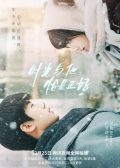 Time and Him Are Just Right chinese drama