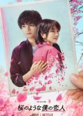 Love Like the Falling Petals japanese movie
