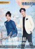 Perfect Mismatch chinese drama