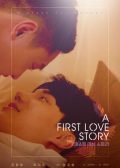 A First Love Story korean drama